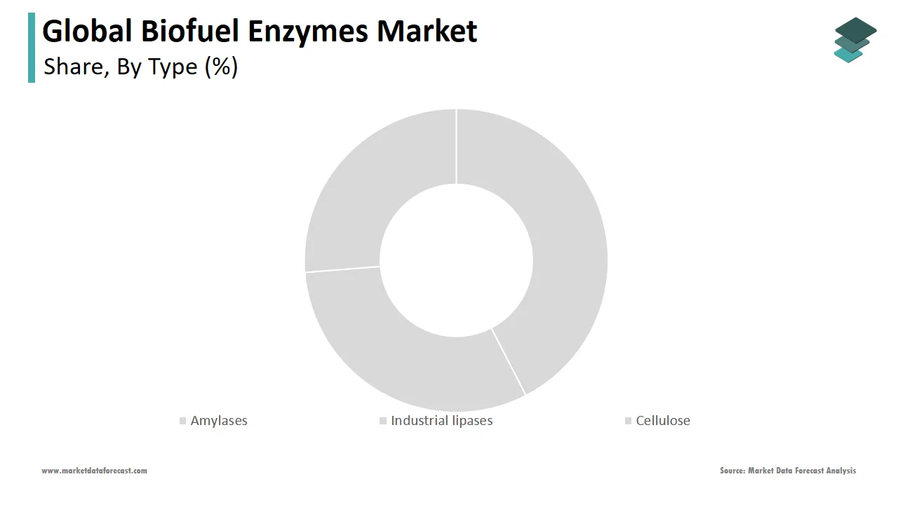 In 2024, the cellulase segment accounted for the major share of the global biofuel enzymes market.