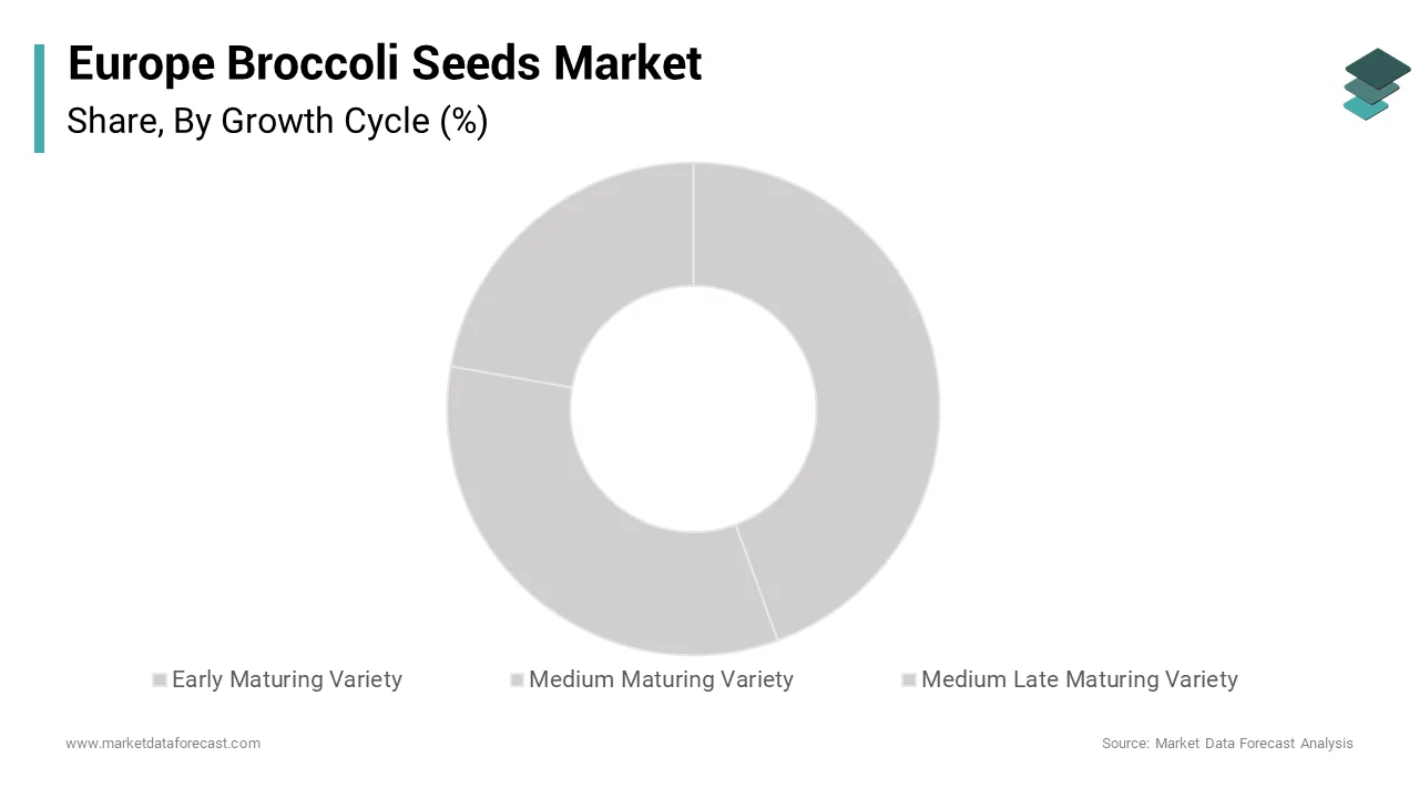 Italy was the top performer of the Europe broccoli seeds market by occupying 28.3% of share over the forecast period