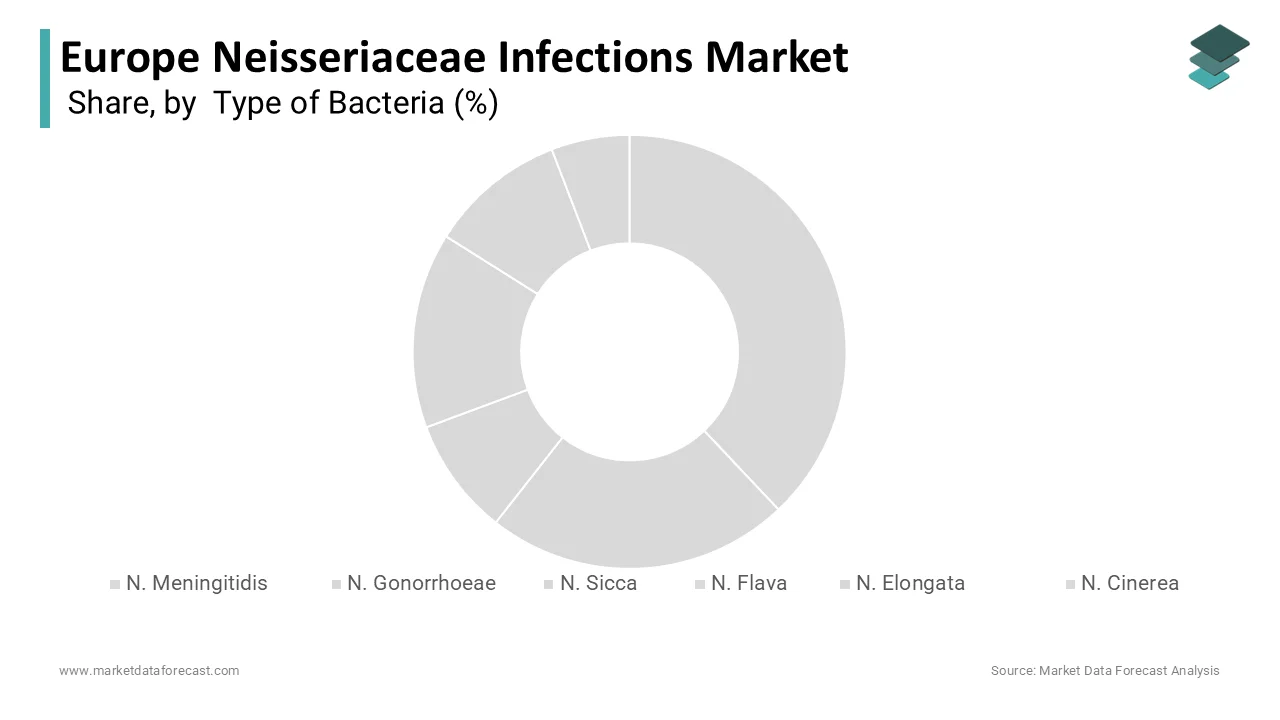 Europe 2024 Neisseriaceae infections market led by Neisseria gonorrhoeae