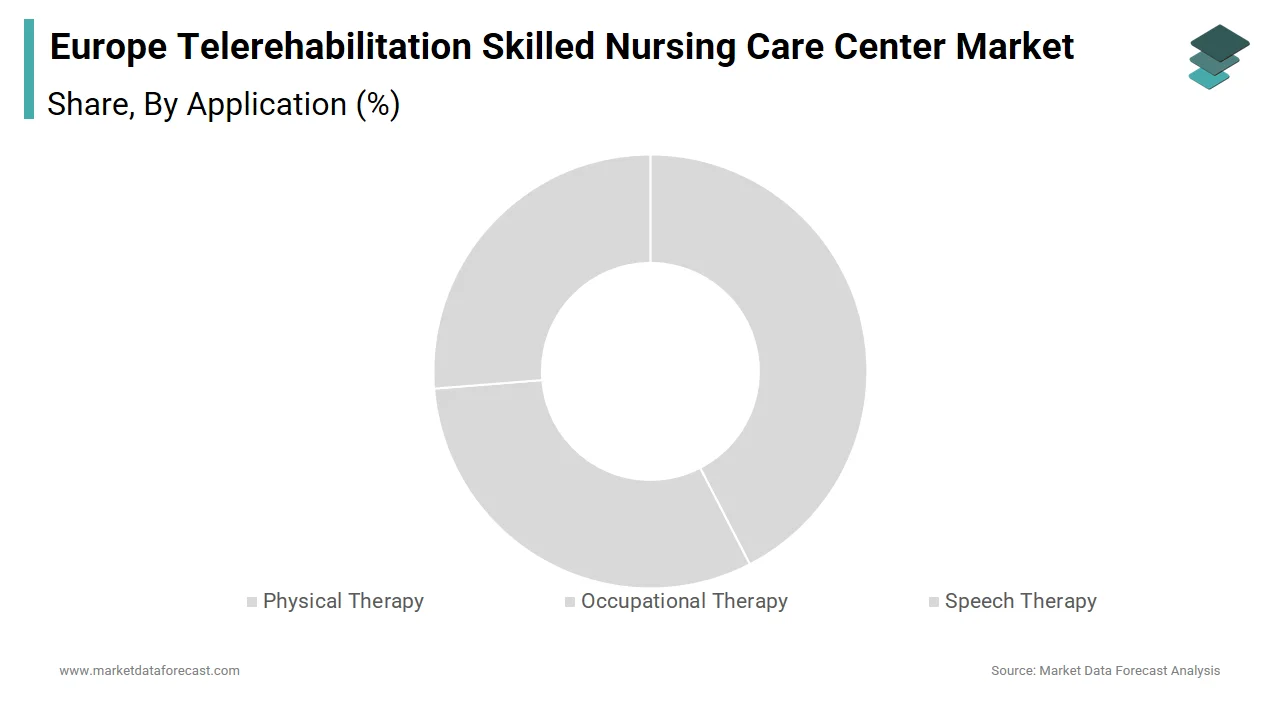 The Physical Therapy led the Europe telerehabilitation skilled nursing care center market in 2024