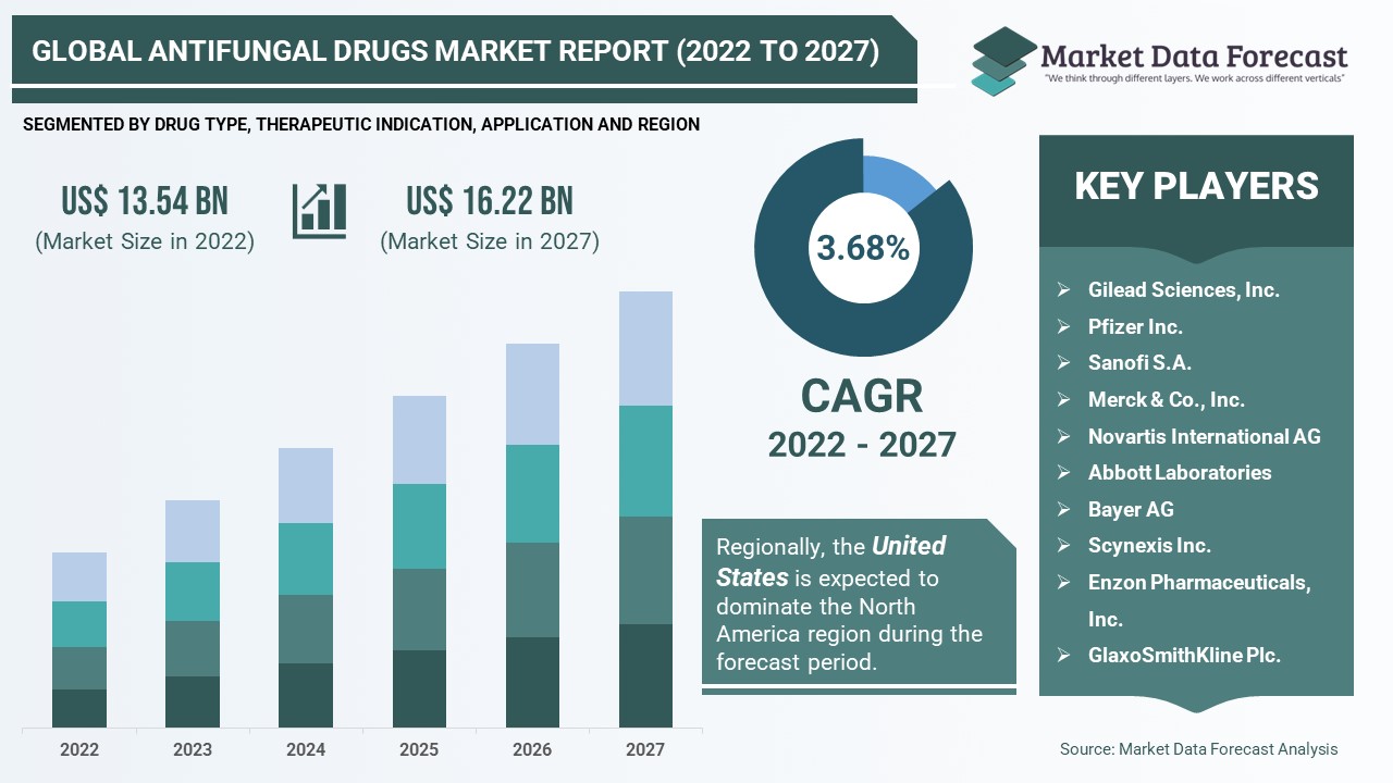 Antifungal Drugs Market