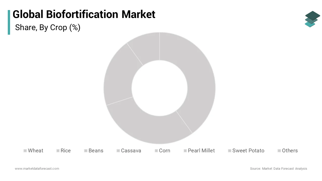 The sweet potato segment accounted for the biggest percentage of the biofortification crop marketplace over the forecast period