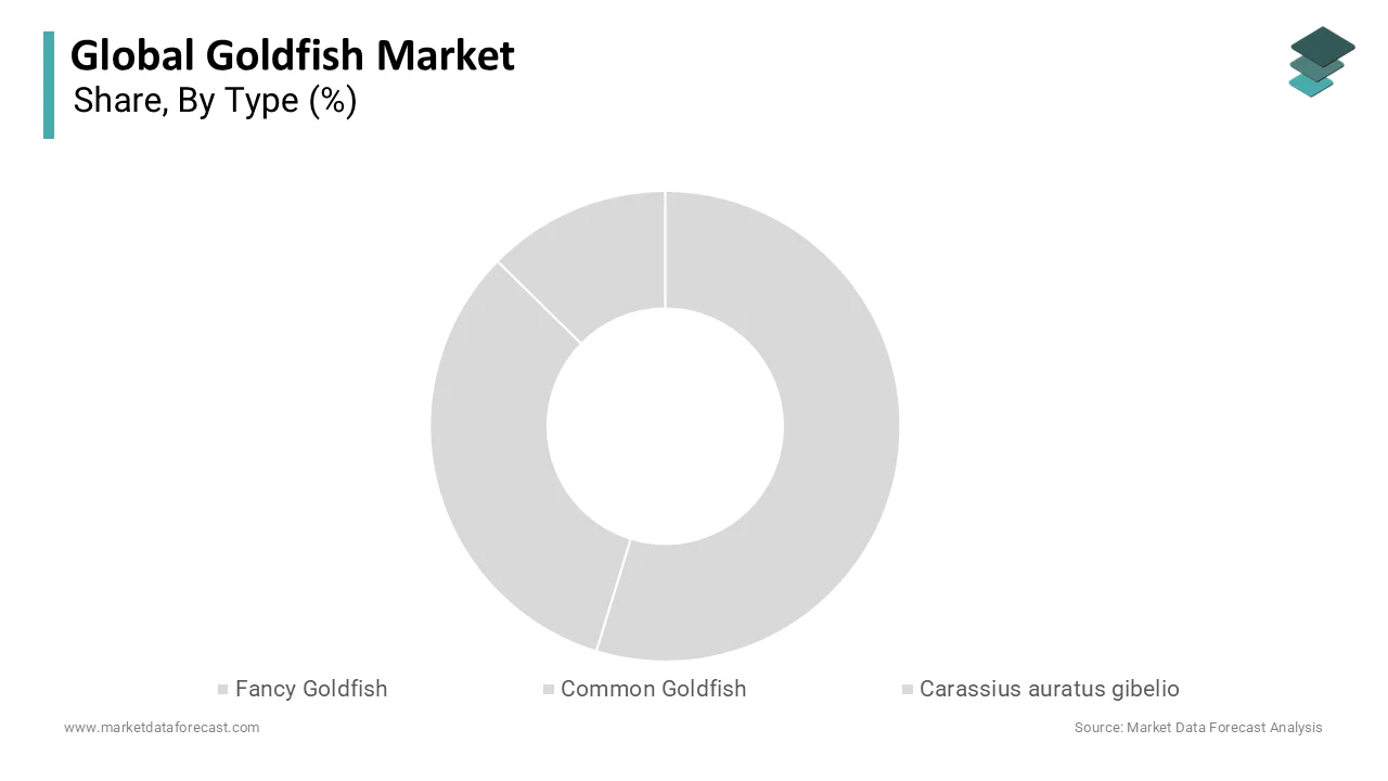 The common goldfish segment had the largest share of 60.2% of the global market share in 2025