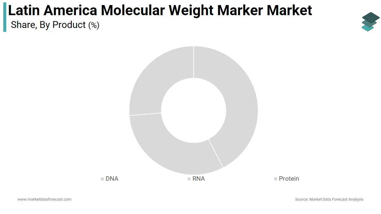 The DNA segment dominated the Latin America molecular weight marker market in 2025