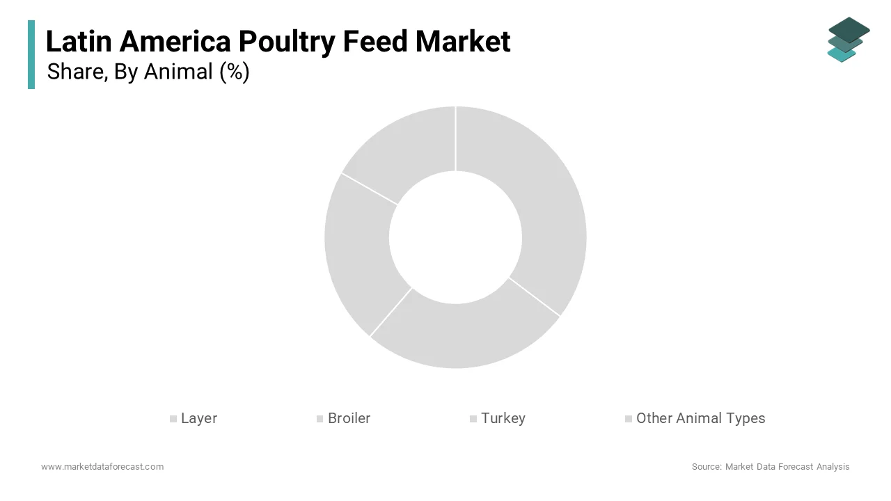 The broilers dominated the Latin America poultry feed market by capturing a 52.8% of total market share in 2024
