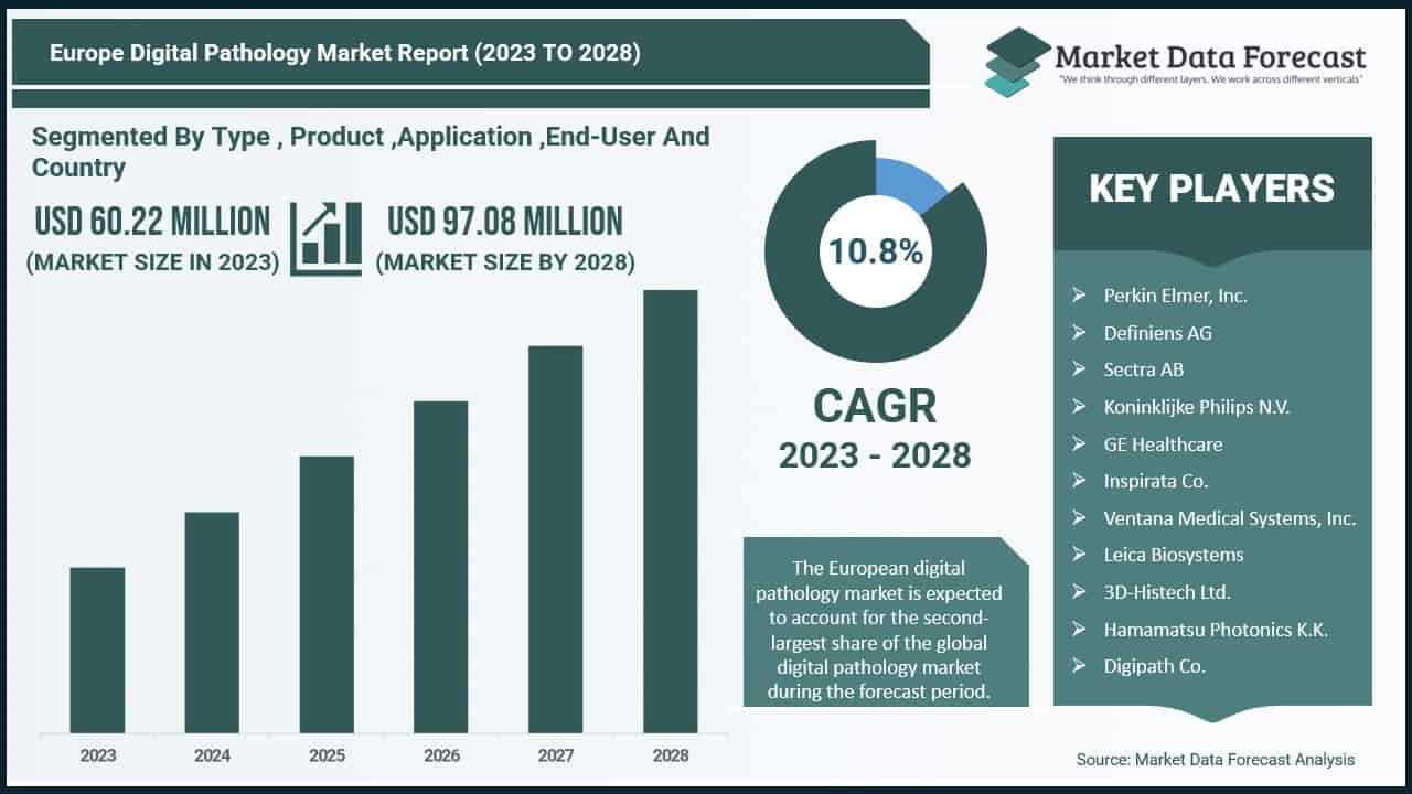 Europe PPE Market