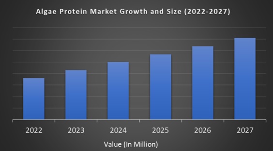Algae Protein Market