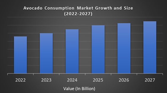 Avocado Consumption Market