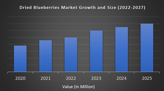 Dried Blueberries Market