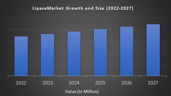 Lipase Market