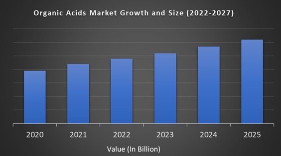 Organic Acids Market
