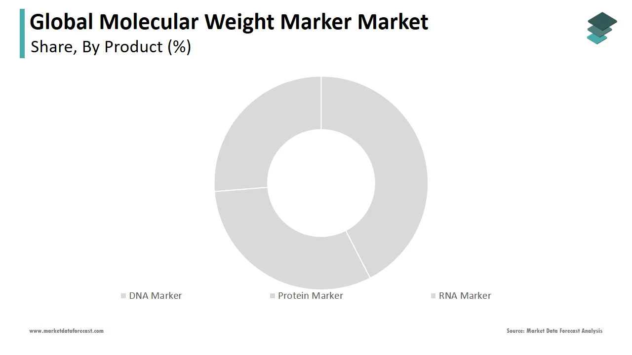 The DNA marker segment dominated the global molecular weight marker market in 2024.