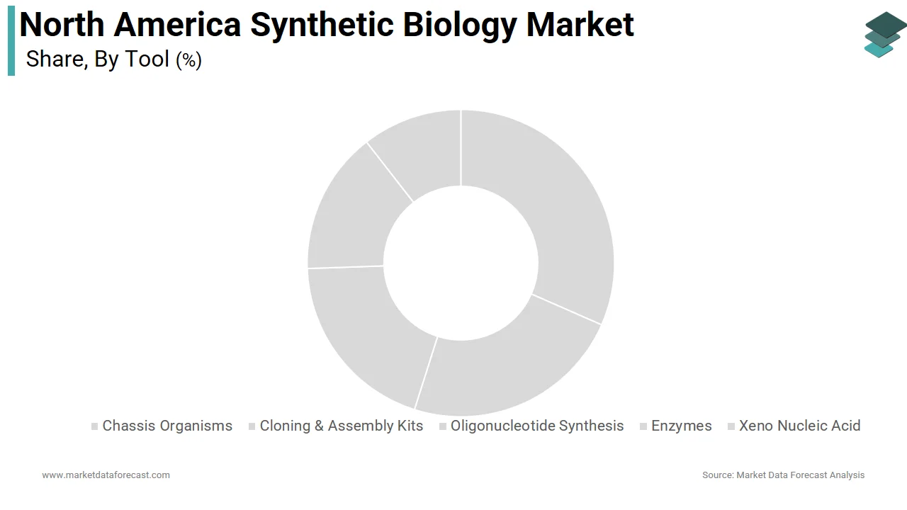 Market Data Forecast reports that the enzymes segment held the dominant share of the North America synthetic biology market in 2025.