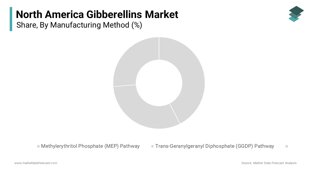 The Methylerythritol Phosphate (MEP) pathway segment dominated the North America Gibberellins Market by capturing 63.5% in 2024