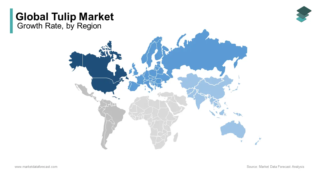 Europe was the top performer in the tulip market in 2024 and accounted for a dominating share of the global market